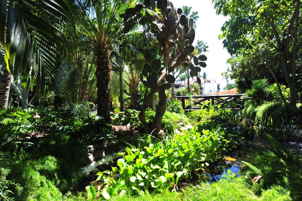 Vonkajšia záhrada v ubytovaní Hotel Parque Tropical