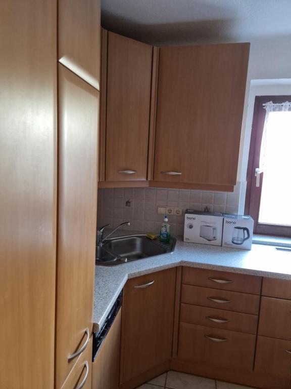 Kuchyň nebo kuchyňský kout v ubytování DRKARLRENNER