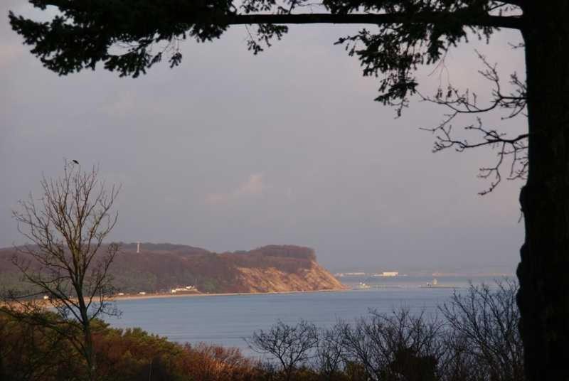 Příroda nedaleko vily