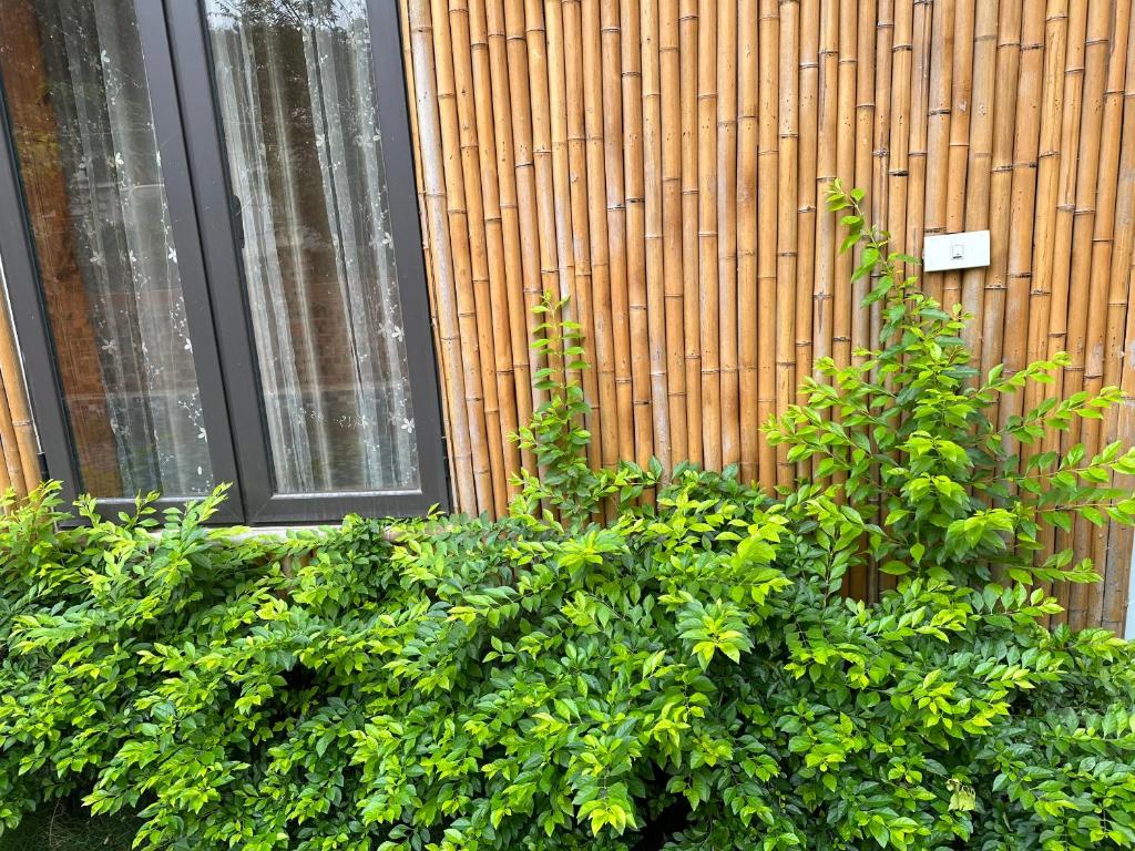 Trang An Moon Garden Homestay - 8