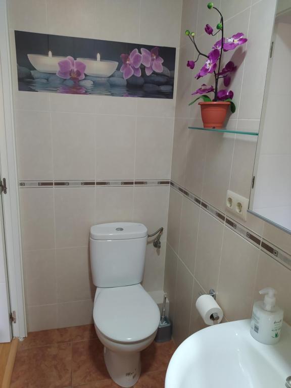 ein Badezimmer mit Toilette und Waschbecken in der Unterkunft Ca la Nuri Pis 2 con Vistas al Mar in Llança