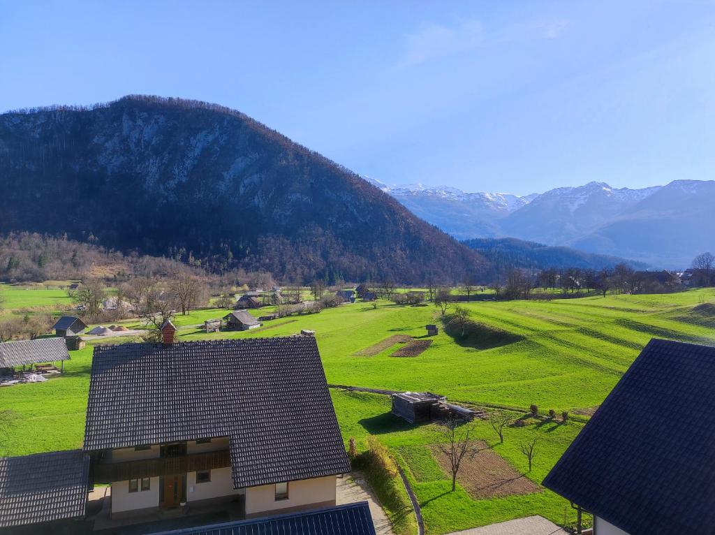 Příroda nedaleko apartmánu