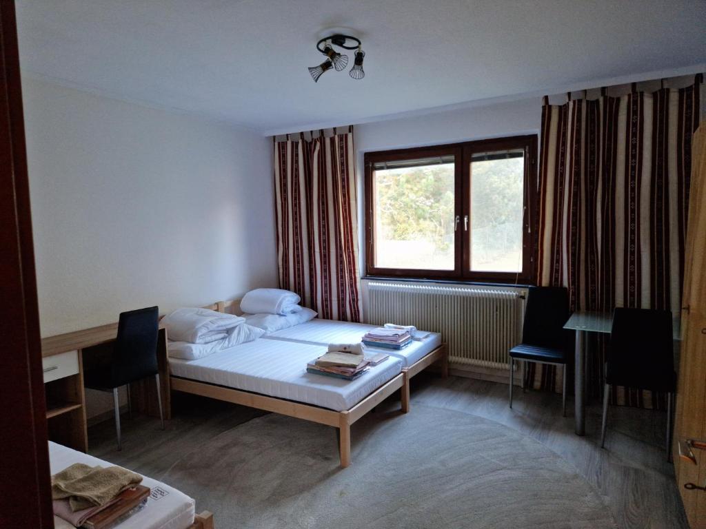 1 dormitorio con cama, escritorio y ventana en DrKarlRennerGarten, en Guntramsdorf
