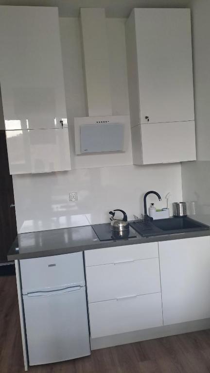 Apartamenty Ustroń Jaszowiec 92 abc - 14