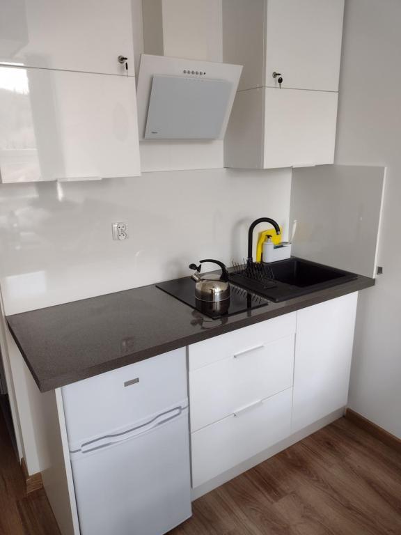 Apartamenty Ustroń Jaszowiec 92 abc - 15