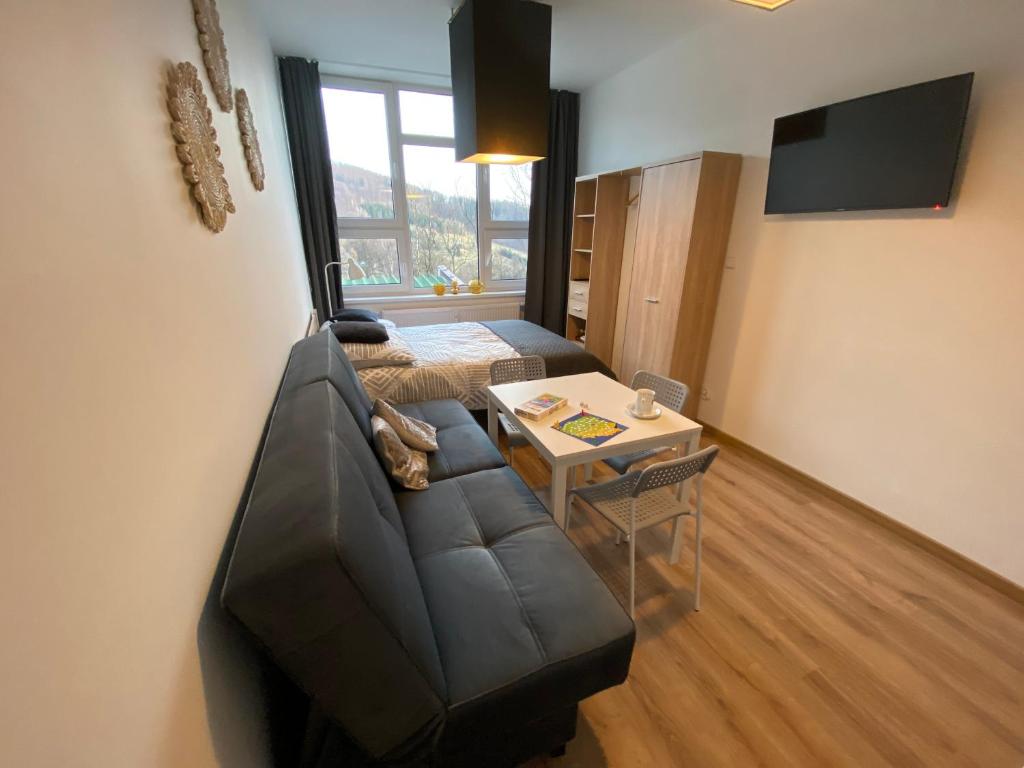 Apartamenty Ustroń Jaszowiec 92 abc - 17