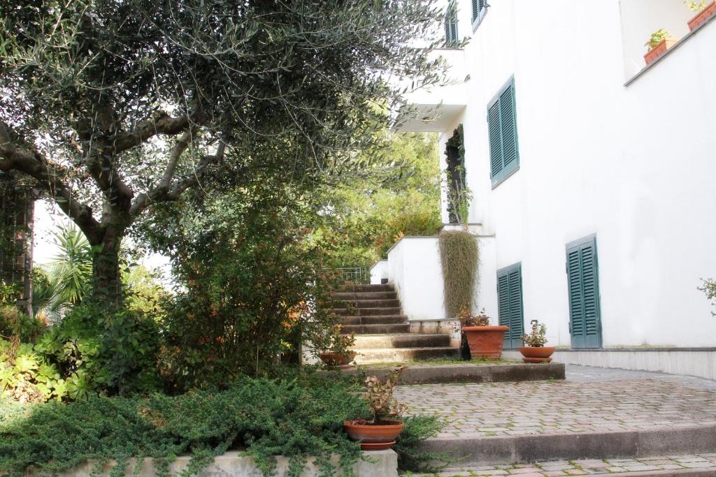 A garden outside B&B Privileged