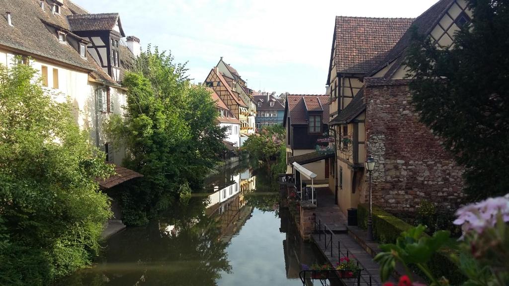 Commanderie Cottage Colmar – photo 47