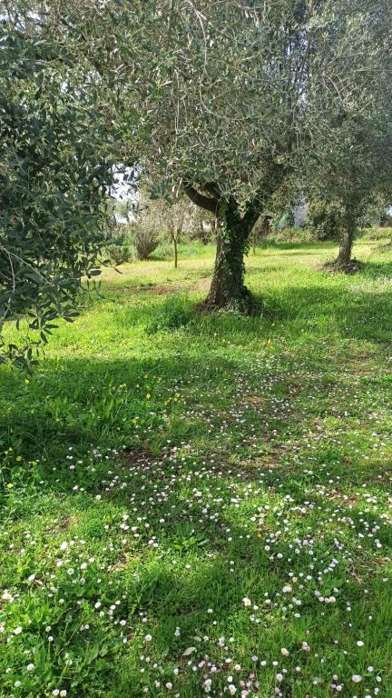 A garden outside La nostra casetta
