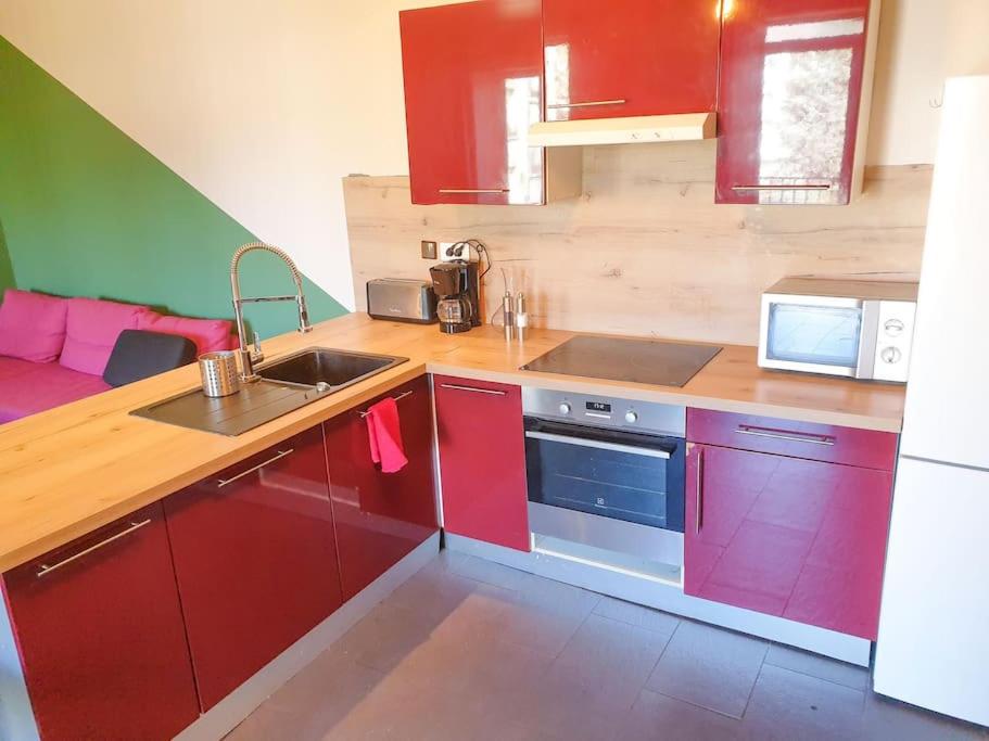 Kuchyň nebo kuchyňský kout v ubytování Spacieux Appartement au Calme 15min sud de Lyon proche Métro et Gare Confluence Aquarium Gerland