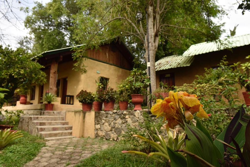a house with plants in front of it at Cabañas Sierra Gorda in Jalpan de Serra