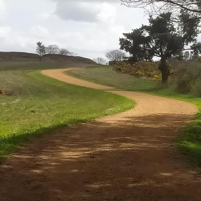 a dirt road in the middle of a field at A Casa da Esquina in Portomarin