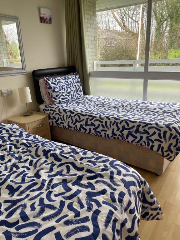 1 dormitorio con 2 camas y ventana en Atlantic Lodge en Newquay