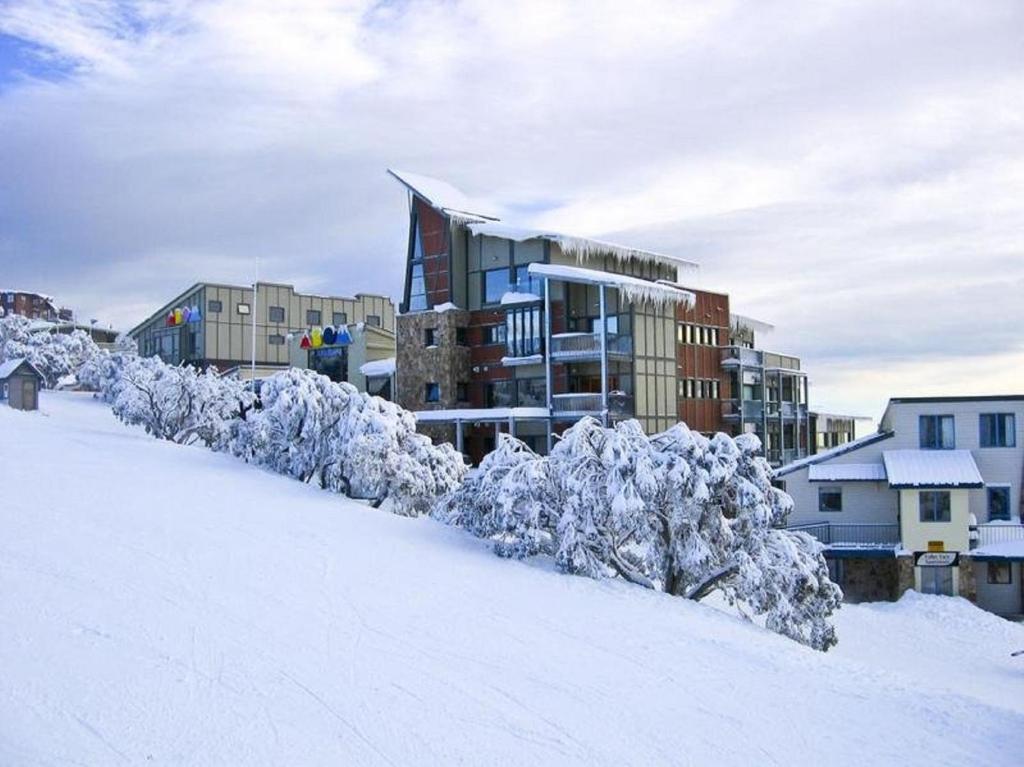 a building covered in snow with snow covered bushes at Alto 203 in Mount Buller
