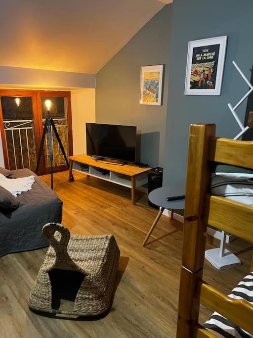 Telewizja i/lub zestaw kina domowego w obiekcie Petit paradis dans l'aveyron