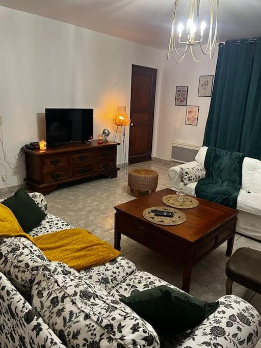 salon z kanapą i stolikiem kawowym w obiekcie Petit paradis dans l'aveyron w mieście Saint-Jean-du-Bruel