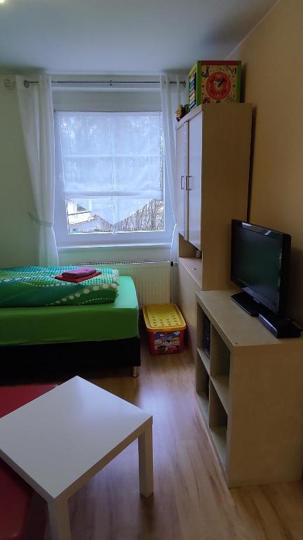 TV a/nebo společenská místnost v ubytování Ferienhaus Meier