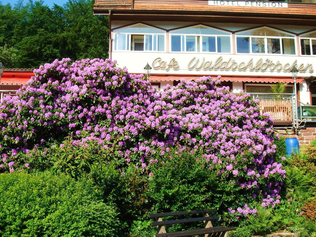 Zahrada ubytování Waldschlösschen