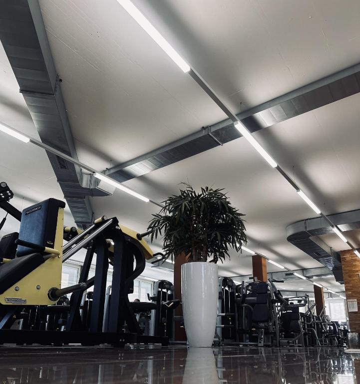 Fitness centrum a/nebo fitness zařízení v ubytování Wellness Hotel Aquafit Sursee