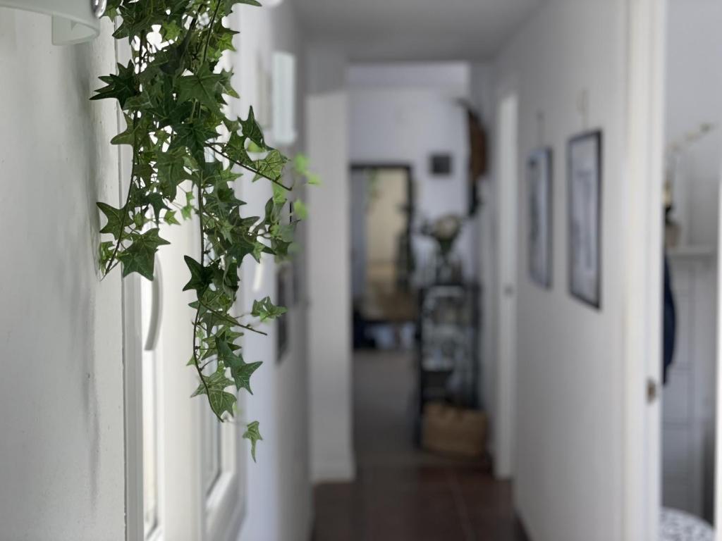 Zdjęcie z galerii obiektu Holiday Apartment Casa Granaas w mieście Mijas