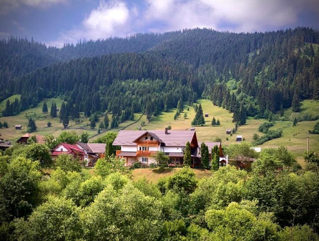 een huis op een heuvel in de bergen bij Pensiunea Casa-Stefanel in Sadova