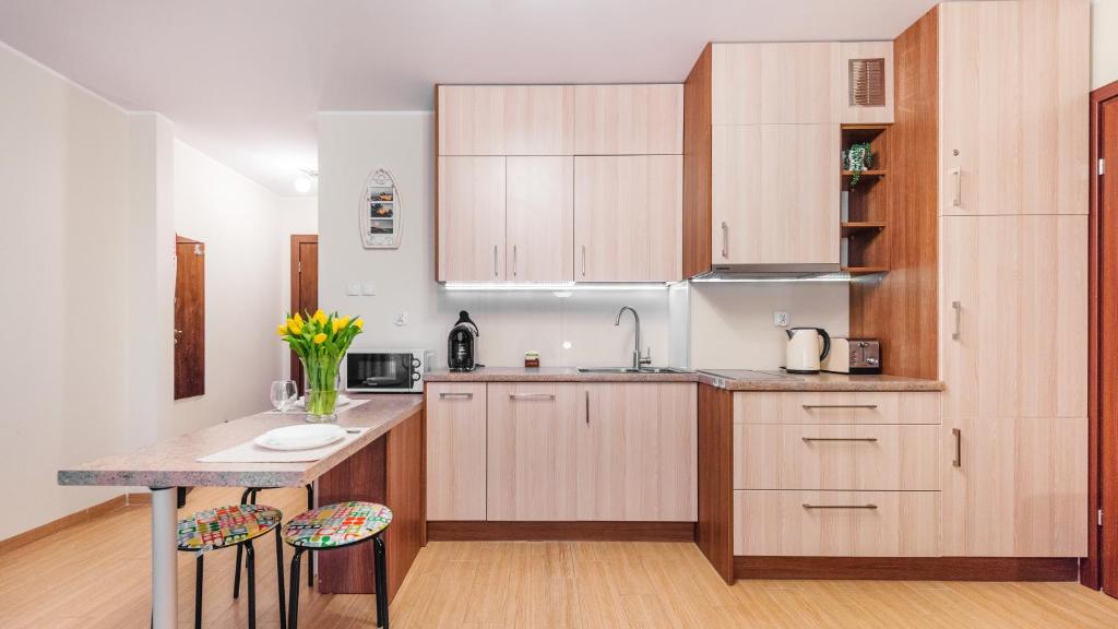 Kuchyňa alebo kuchynka v ubytovaní Apartamenty Sun & Snow Żeromskiego Krynica Morska - blisko morza