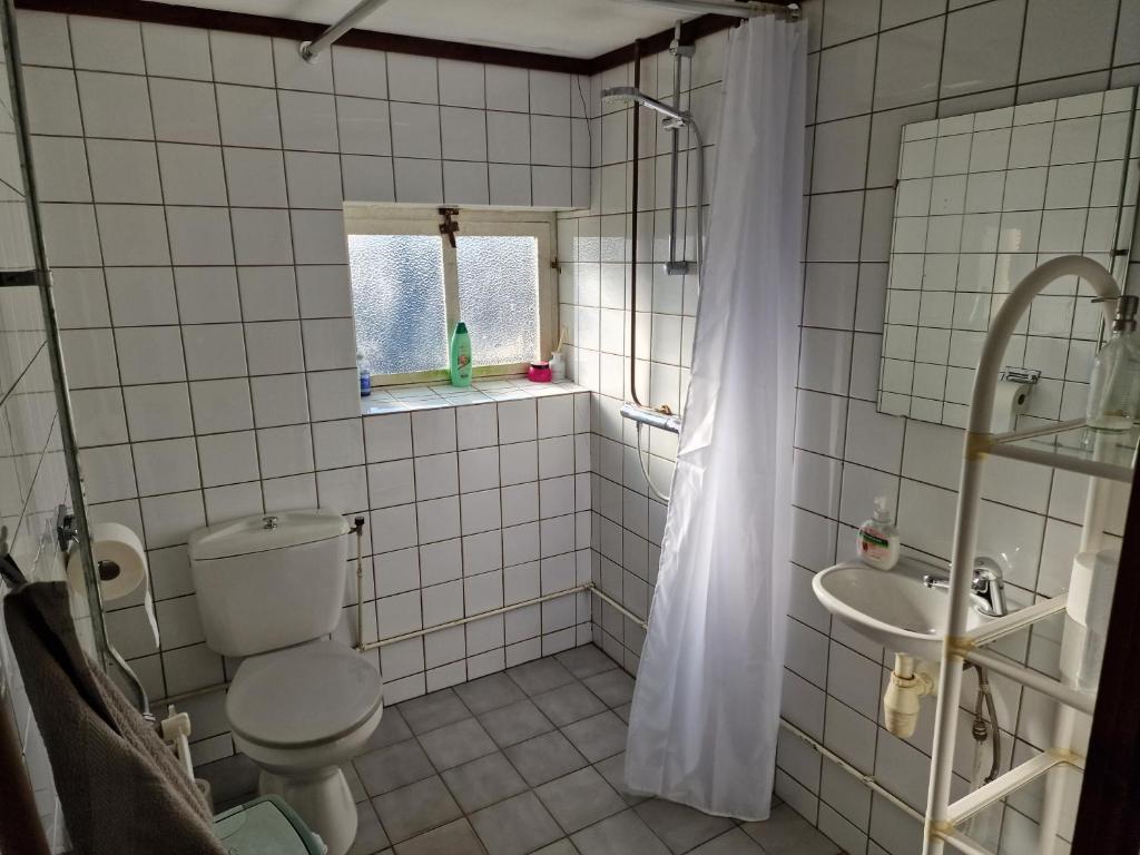 a bathroom with a toilet and a sink at Gezellige Blokhut op de Veluwe in Emst