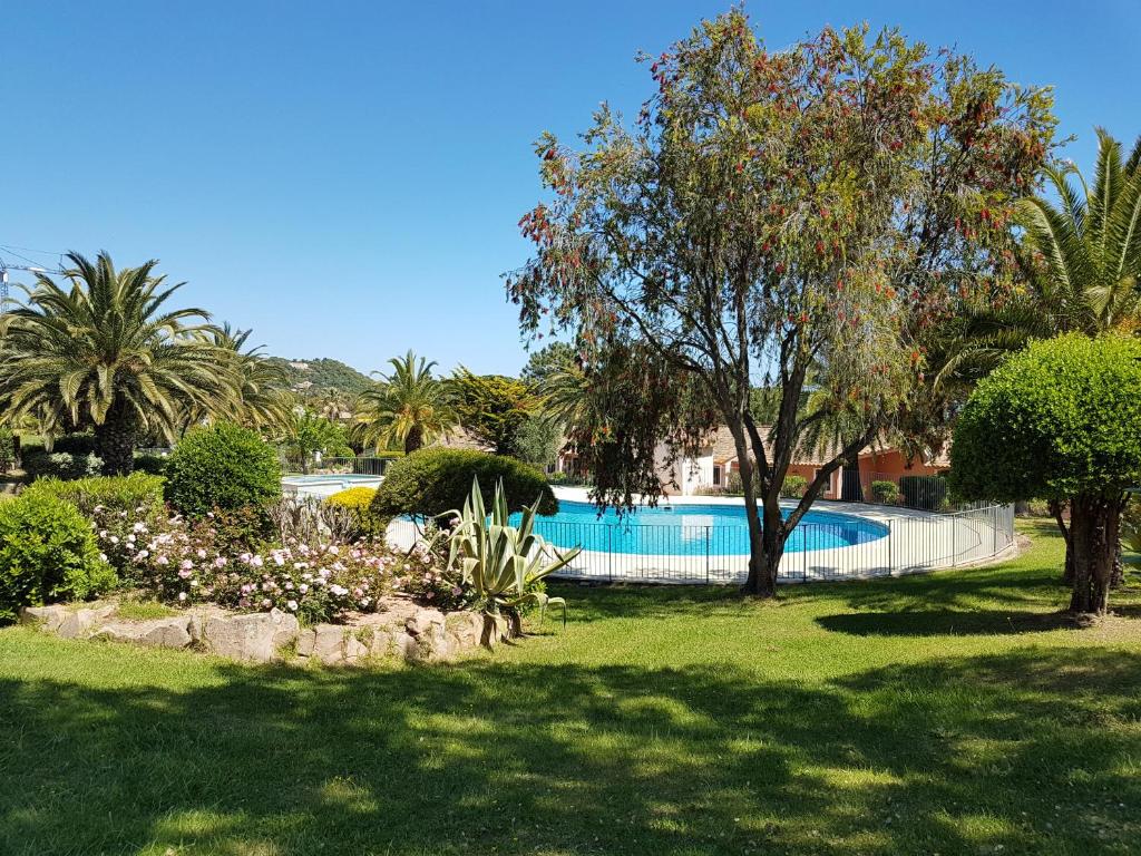 une piscine dans un parc arboré et une cour dans l'établissement APPARTEMENT ORO 11- 1 CHAMBRE - REZ DE JARDIN, à Conca