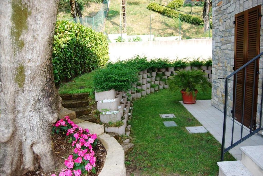 A garden outside Messaga