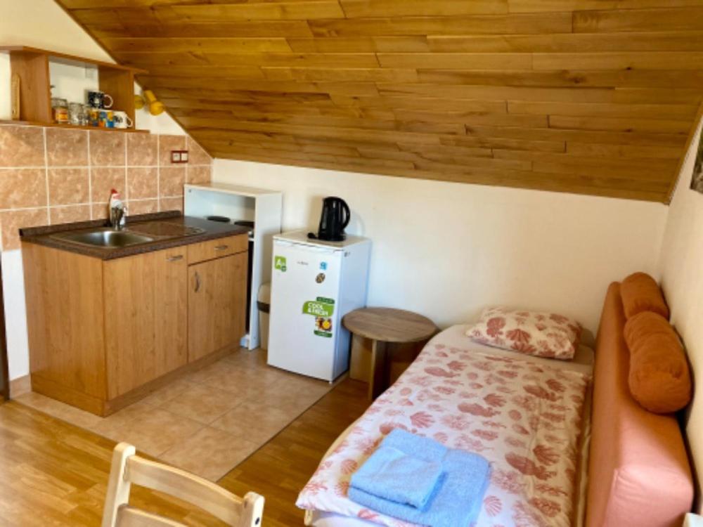 Kuchyň nebo kuchyňský kout v ubytování Apartmány u rybníčka