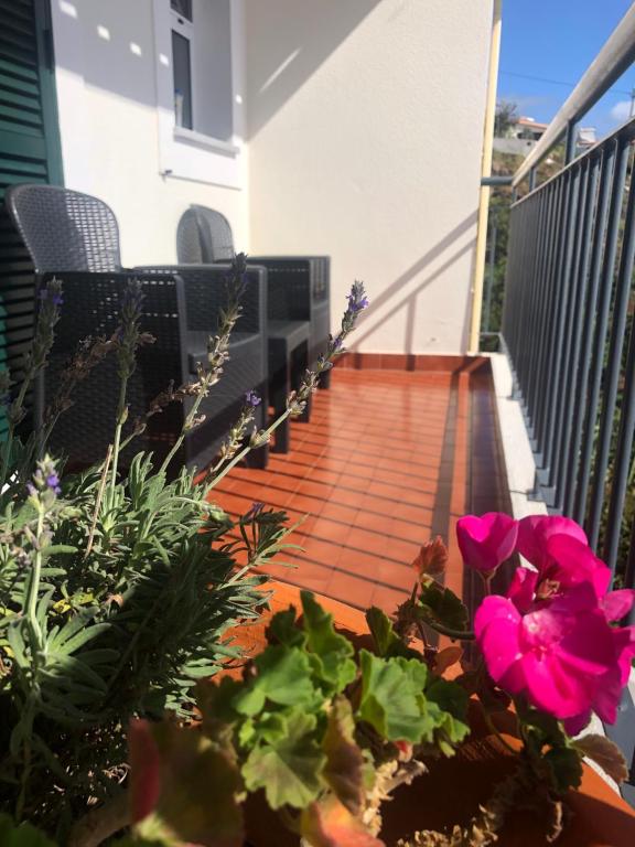 een balkon met roze bloemen op een huis bij Sunshine Room in Gaula