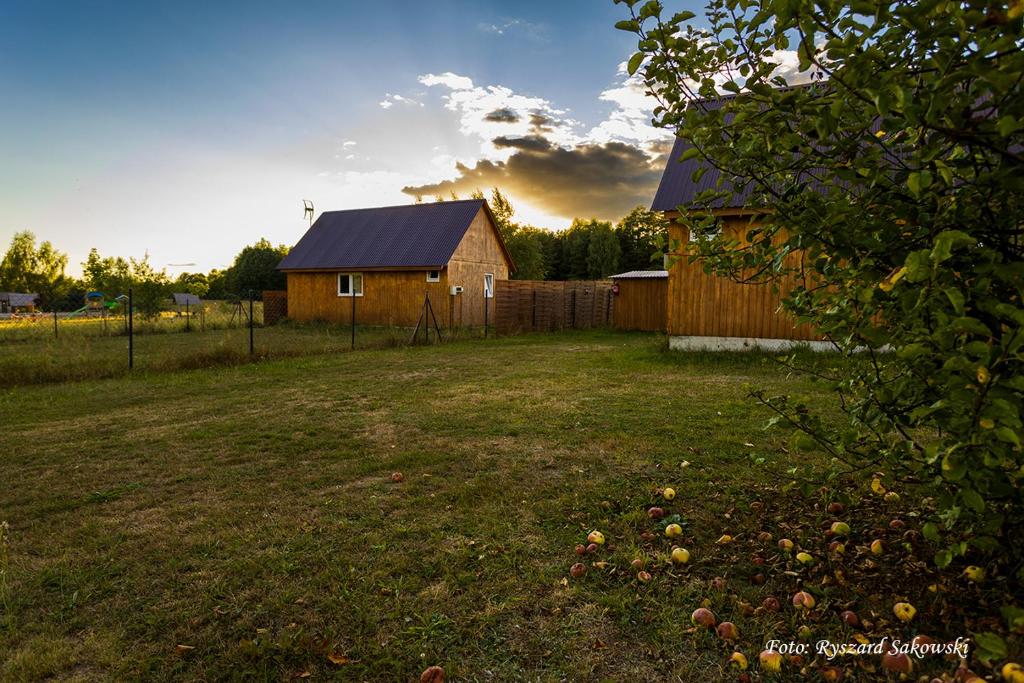 a barn in a field with an apple yard at Eurostruś - domki, zoo in Borzychy