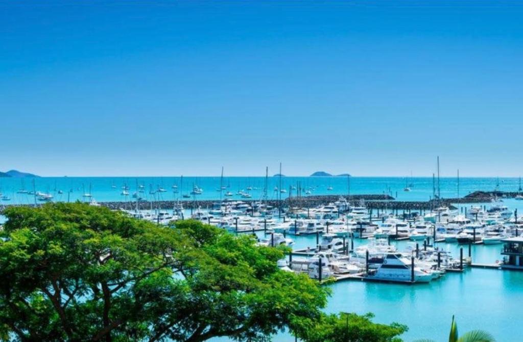 a bunch of boats are docked in a harbor at Shingley Poolside Retreat in Airlie Beach