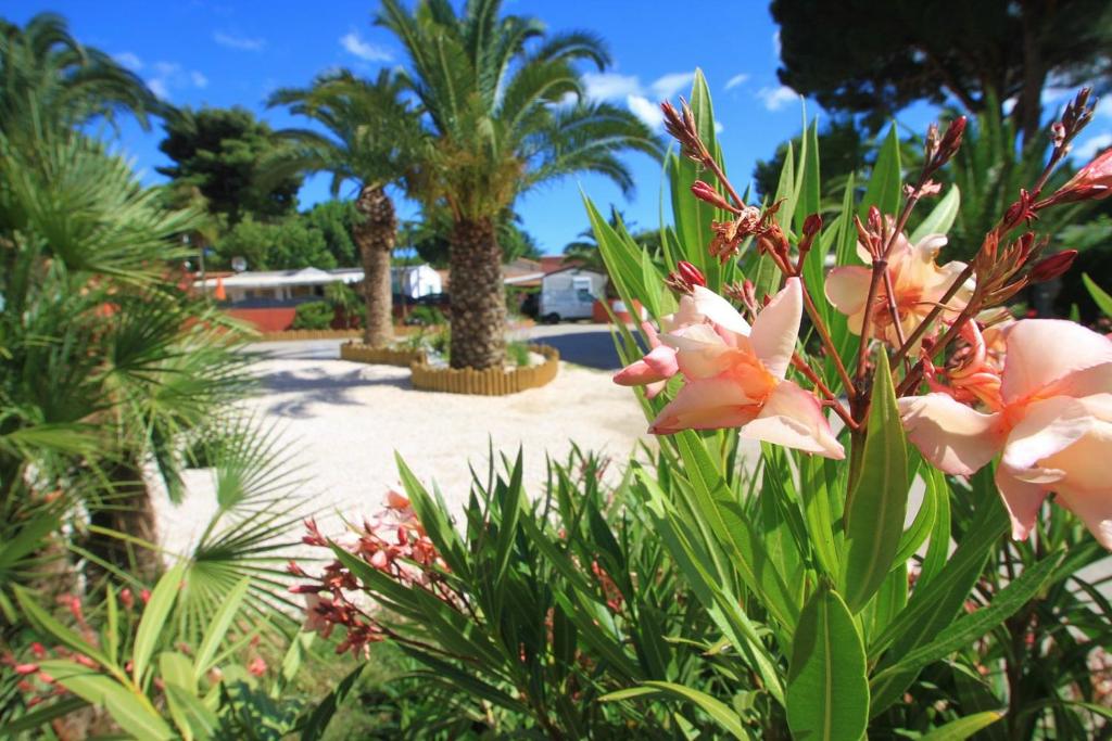 Zahrada ubytování Camping Del Mar 10, Mobil home Petit Paradis, 6 personnes, Bord de mer, Camping Del Mar Village