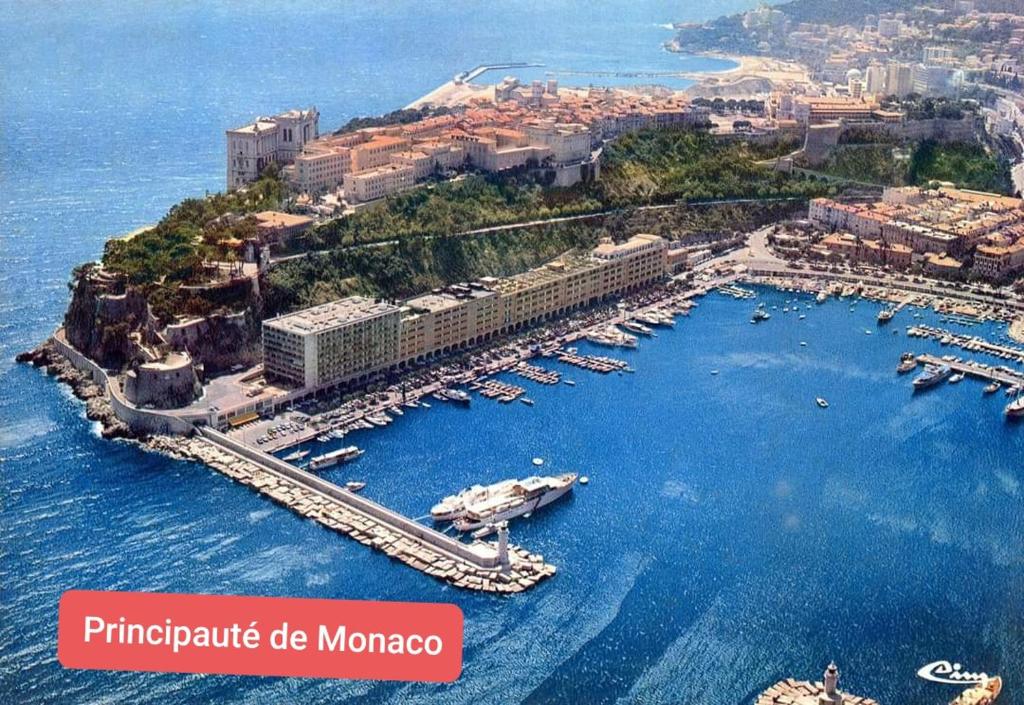 an aerial view of a harbor with boats in the water at Gabriella in Menton