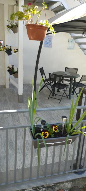 Apartmani Matija - 10