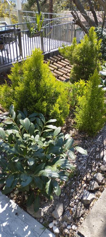 Apartmani Matija - 8