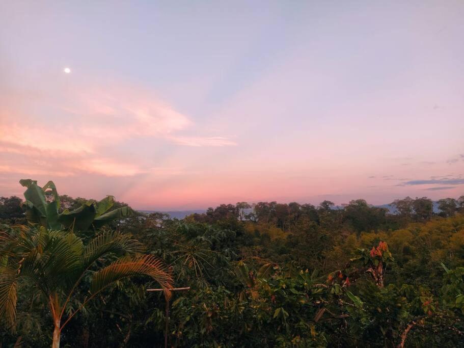 Φυσικό τοπίο κοντά σε αυτό το διαμέρισμα