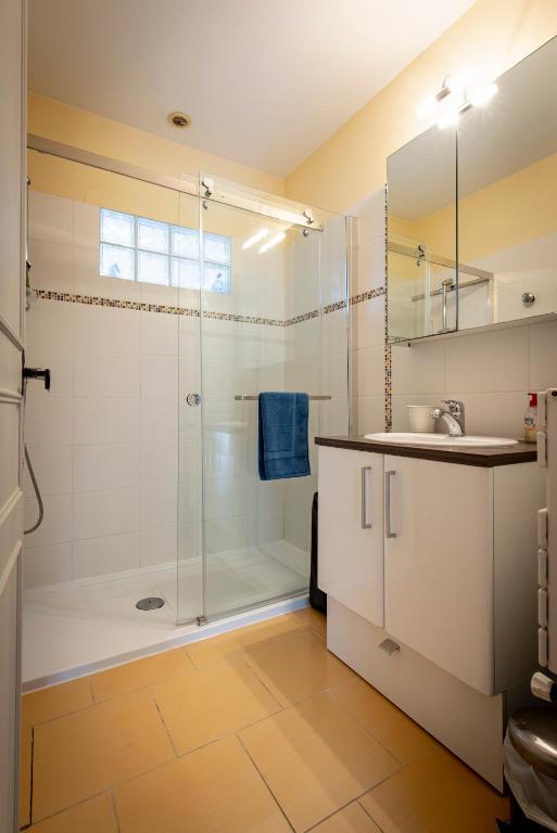 a bathroom with a shower and a sink at Maison 5 chambres #8pers #Stationnement gratuit in Cognac