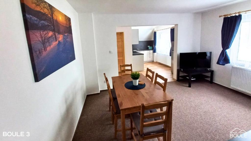 TV/trung tâm giải trí tại Apartmány Boule
