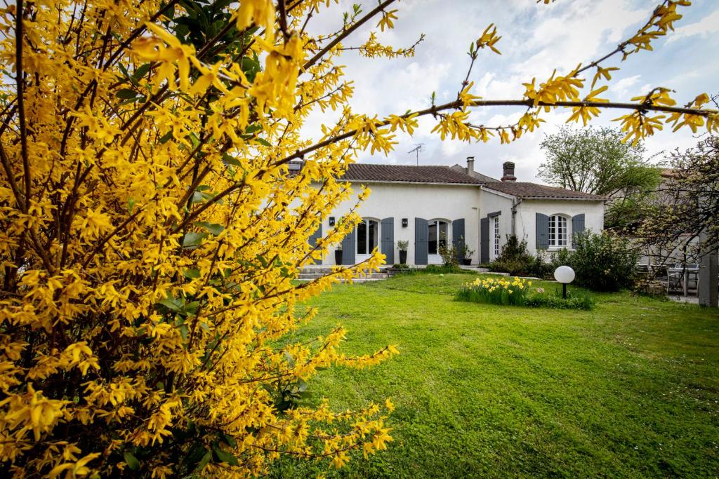 a house with yellow leaves on a yard at Maison 5 chambres #8pers #Stationnement gratuit in Cognac
