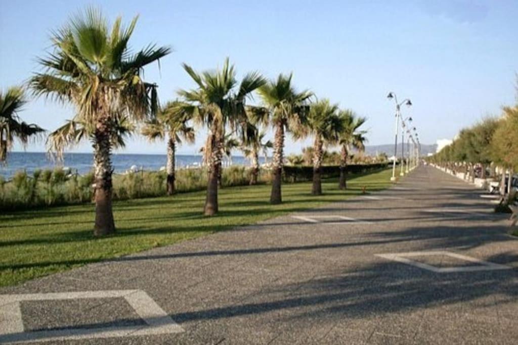 una strada con palme sul lato di una spiaggia di The sea 700 mt. from the house Wi-Fi and parking a Spadafora