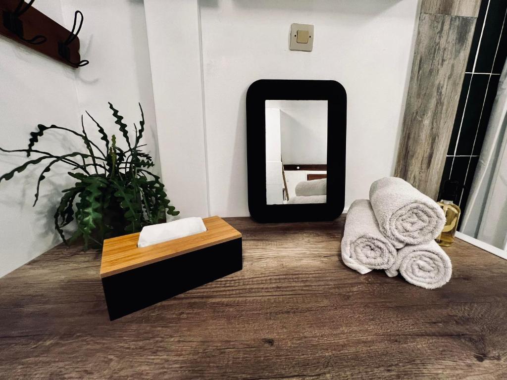 a bathroom with a mirror and towels on the floor at Le Cottage des Chalands in Saint-Georges-sur-Cher