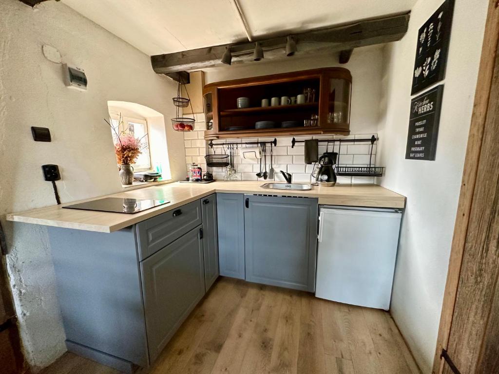 Kuchnia lub aneks kuchenny w obiekcie Apartament Loftowy- Bory Tucholskie