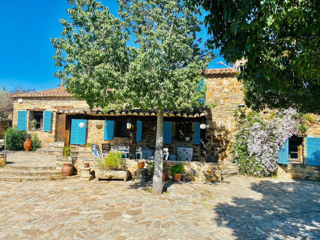 una casa de piedra con un árbol delante en Casa La Rocita, en Badajoz