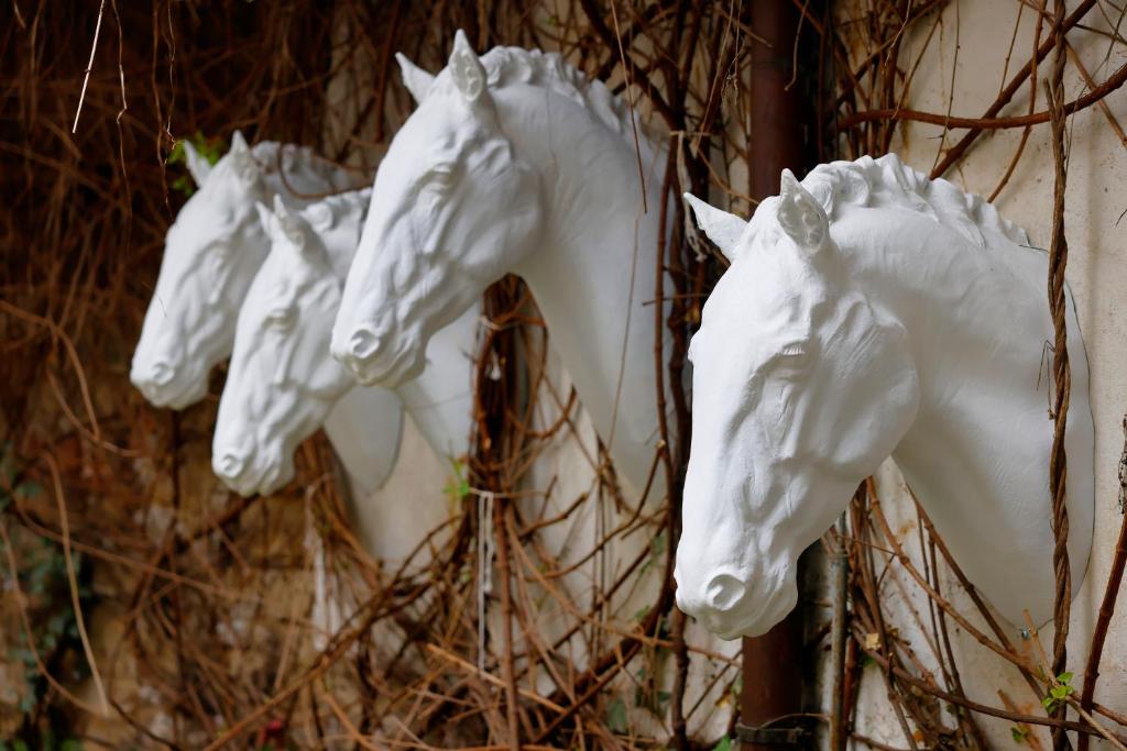 Hotel Prokop Square - Resim 38