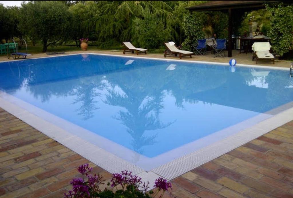 una grande piscina con acqua blu in un cortile di Villa Conero a Montacuto