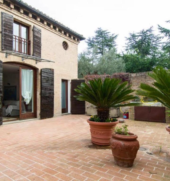 Zahrada ubytování Villa Conero