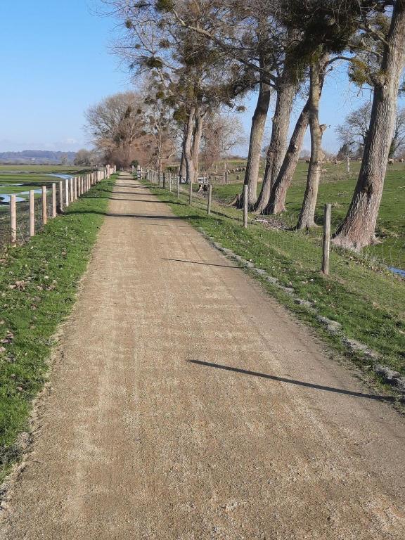 a dirt road with trees on the side of a field at La Clé du Chesnot in Saint-Quentin-sur-le-Homme