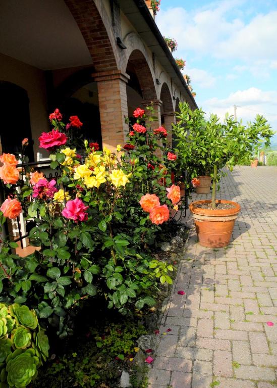 Zahrada ubytování Hotel Le Renaie